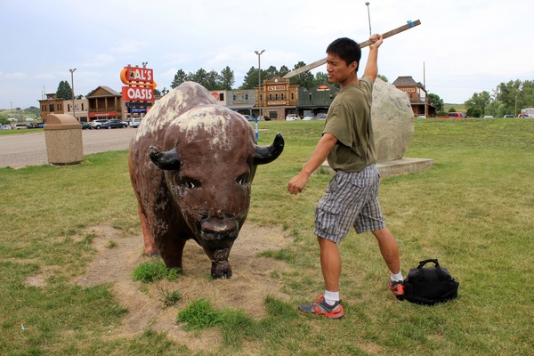 slaying a minor bison in the black hills south dakota
