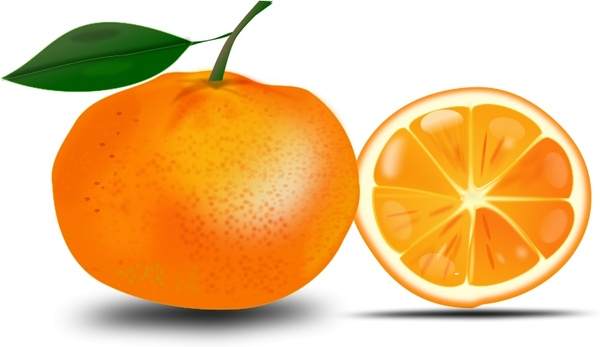Free Free Orange Fruit Svg 380 SVG PNG EPS DXF File