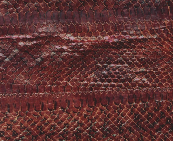 snake leather skin background