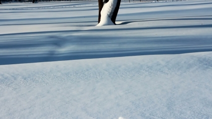 Snow