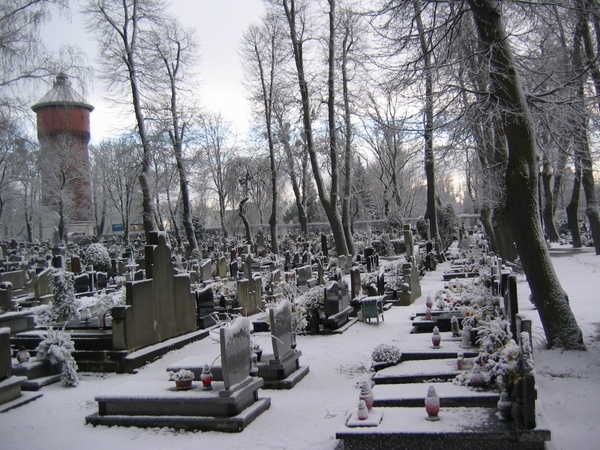 snow cemetery graves