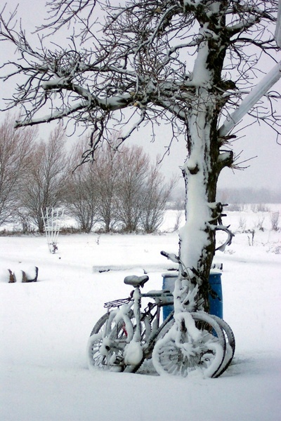 snow covered bicycle