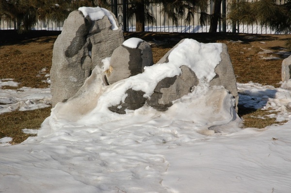 snow covered rocks