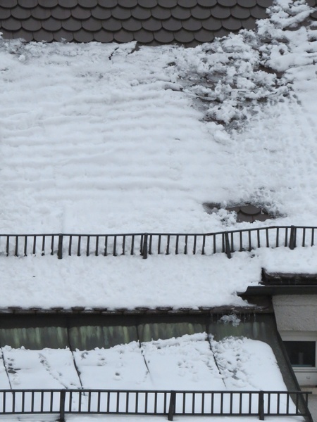 snow dachlawine roof