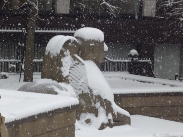 snow in victoria square guardian sphinx