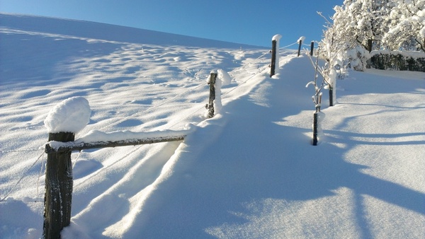snow landscape winter blast