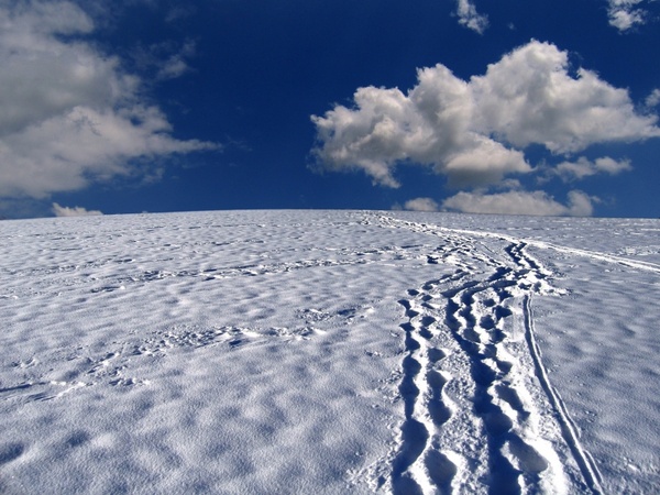 snow tracks traces snow