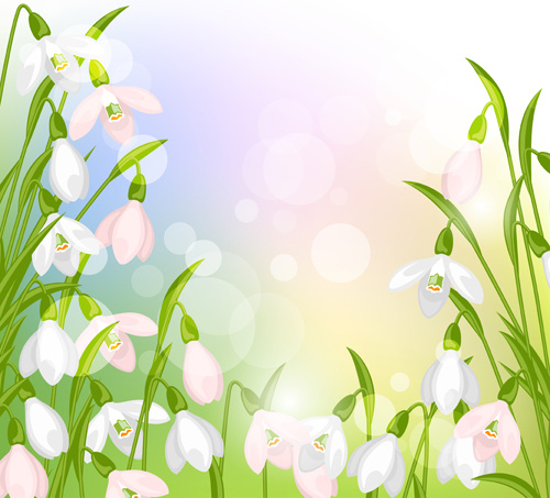 Snowdrops flowers with shiny background vector Free vector in