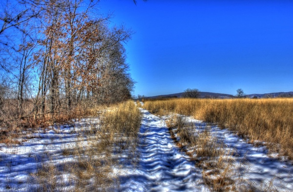 snowy hiking path on the ice age trail wisconsin