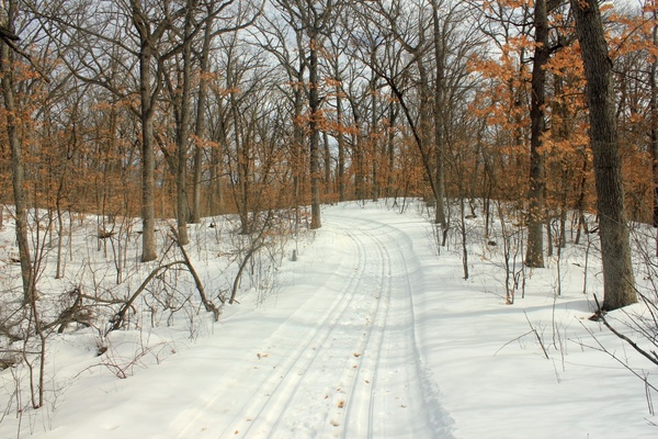 snowy hiking trail 