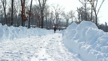 Snowy road in the park