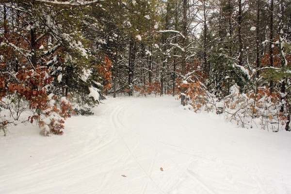 snowy trail at mirror lake state park wisconsin