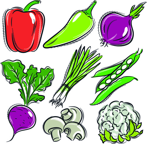 Children drawing vegetables free vector download (93,812 Free vector