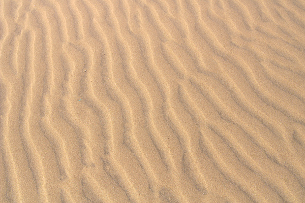 south padre sand 