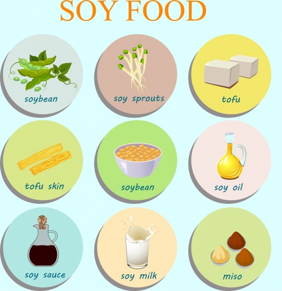 soy food icons various types circle isolation