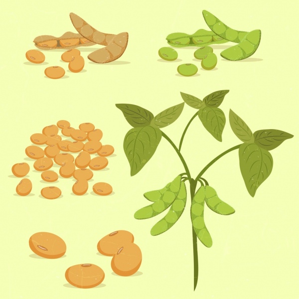soybean design elements peas trees icons colored design