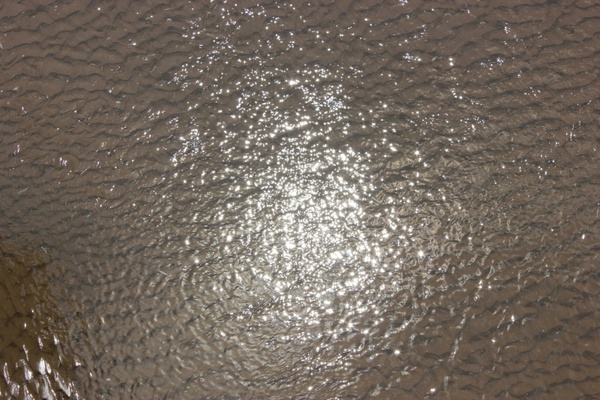 sparkling beach water