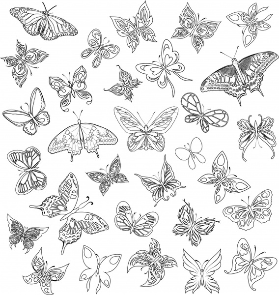 butterflies icons black white flat handdrawn sketch