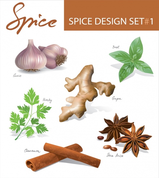 ingredients spices icons colored modern 3d design