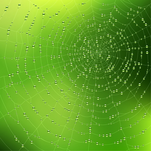 spider web background template modern green droplets decor
