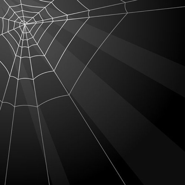 spiderweb design elements vector