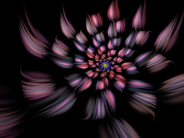 spiral flower fractal