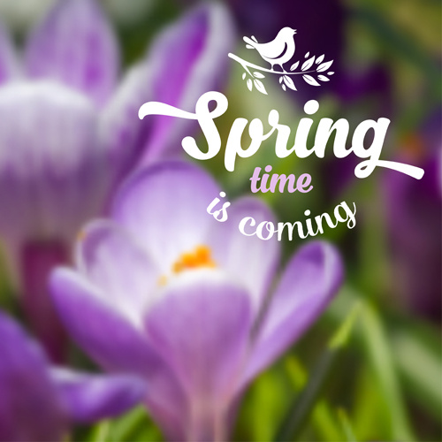 spring flower blurred background vector set