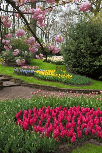 spring flower garden 