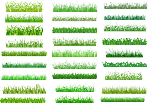 spring grass borders vector set