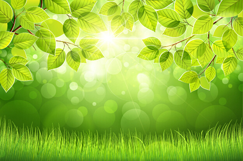 spring sunlight with green leaves background vector