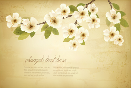 spring white flowers with vintage background