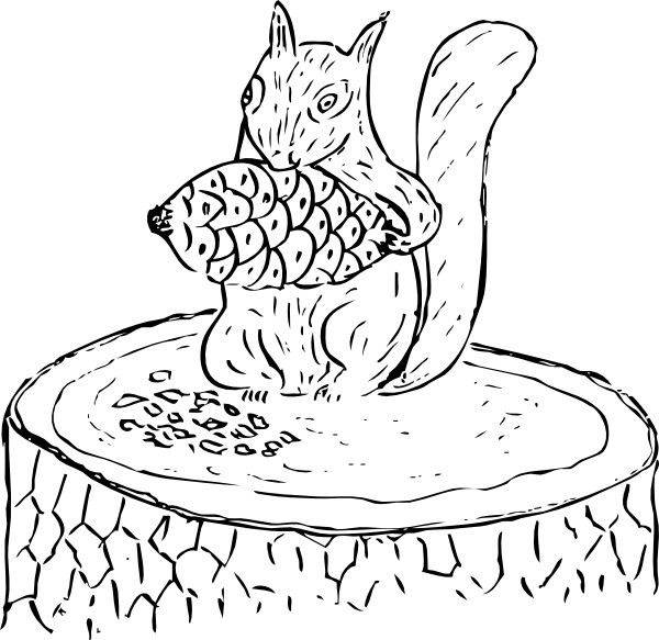 Squirrel Eating Pine Cone clip art
