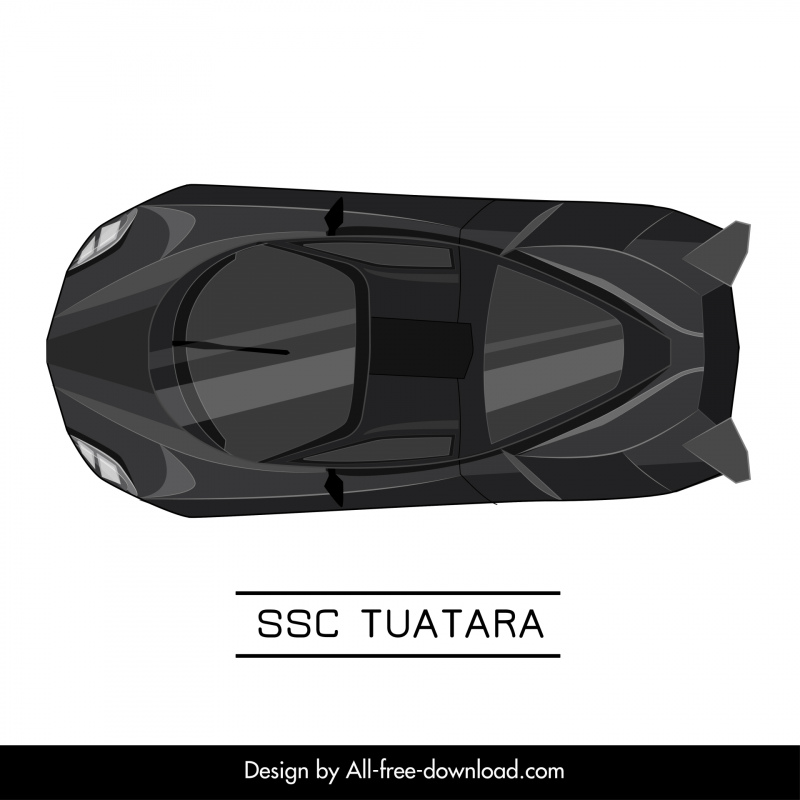 ssc tuatara car model icon modern symmetric top view design 