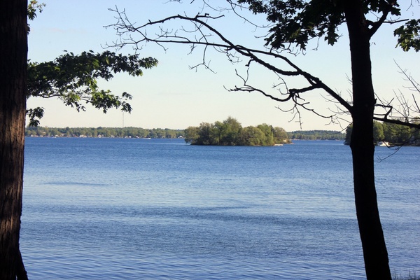 st lawrence through the trees at wellesley island state park new york