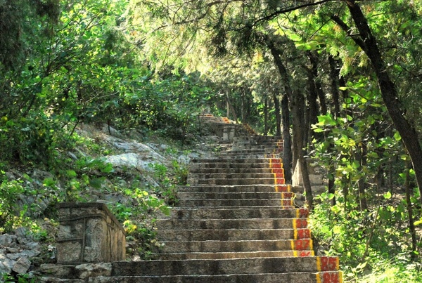 stair steps