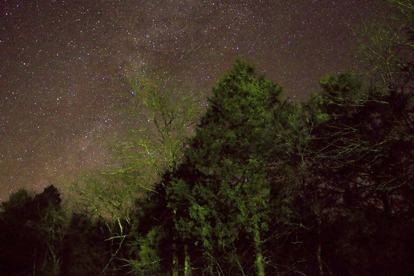 stars above the trees in ozark national scenic riverways missouri 
