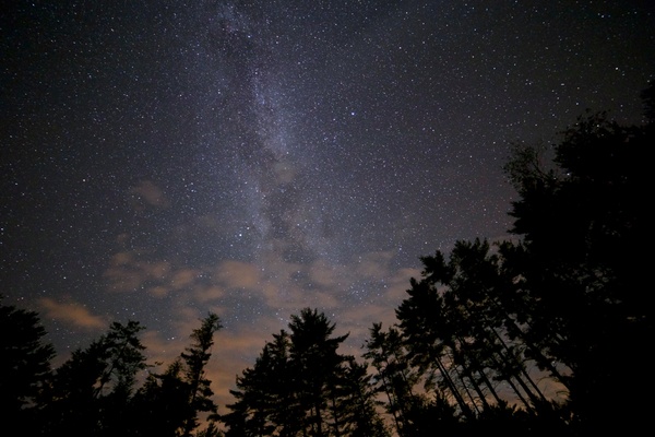 stars night milky way trees 