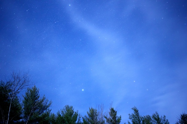 stars night sky clouds trees