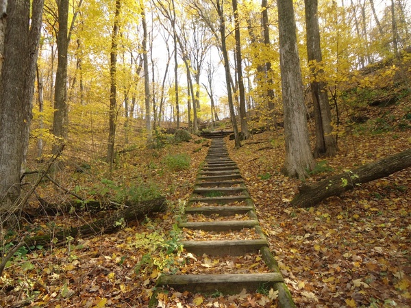 steps on the hiking trail in govenor dodge state park wisconsin