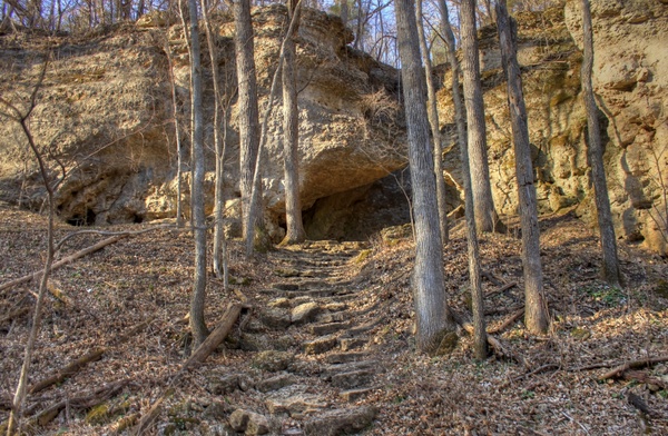steps up the hill at backbone state park iowa 