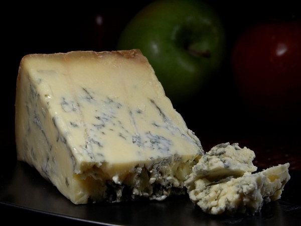 stilton blue cheese blue mold mold
