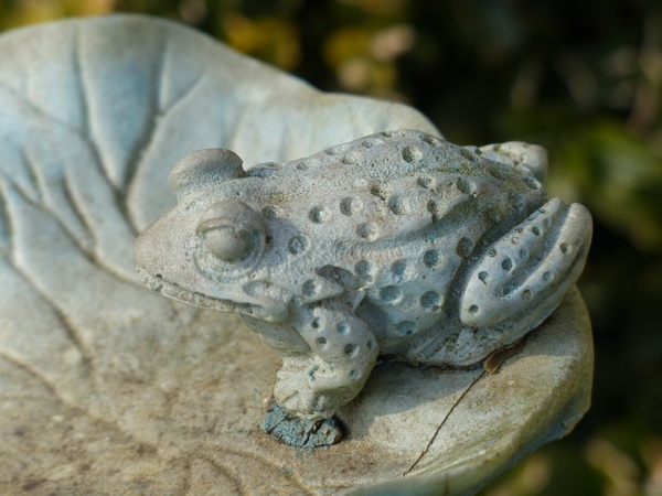 stone figure frog fig