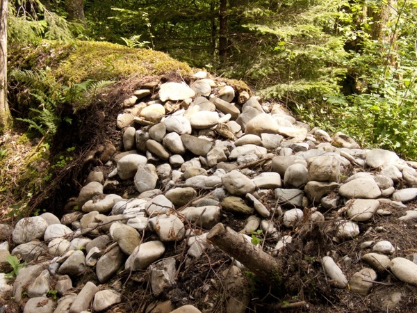 stones wall forest