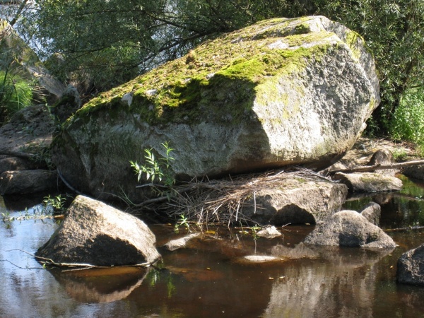 stones water moss