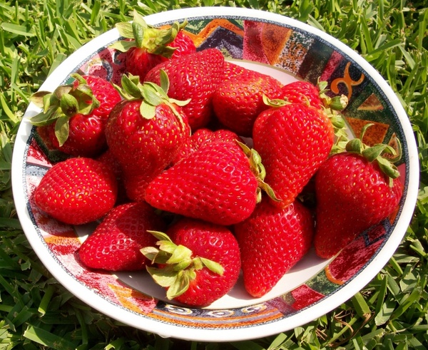 strawberries bowl fruit