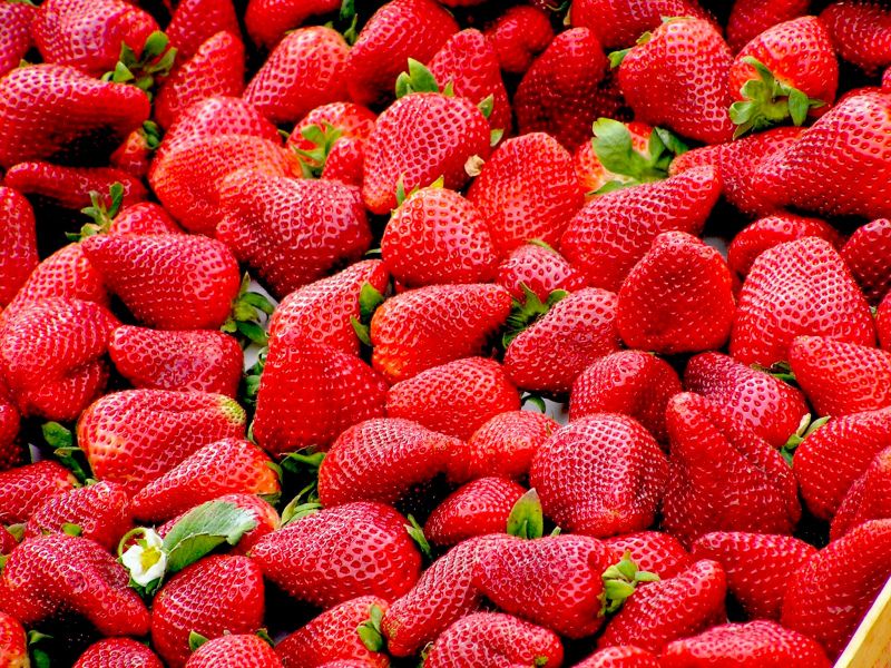 strawberries bulk backdrop picture elegant closeup 