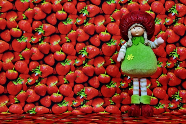 cute fabric doll and red strawberries decoration
