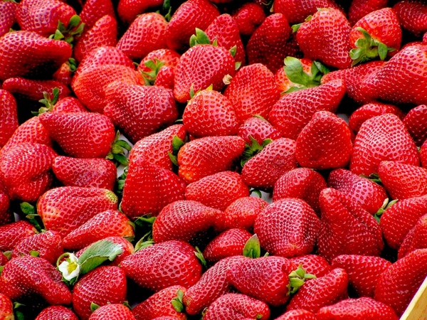 strawberries red fruit