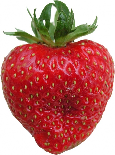 strawberry tasty frisch