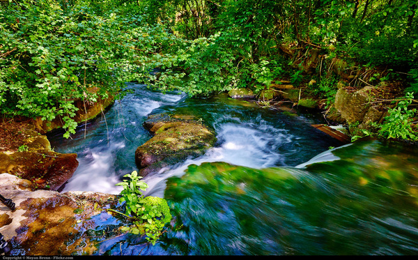 stream